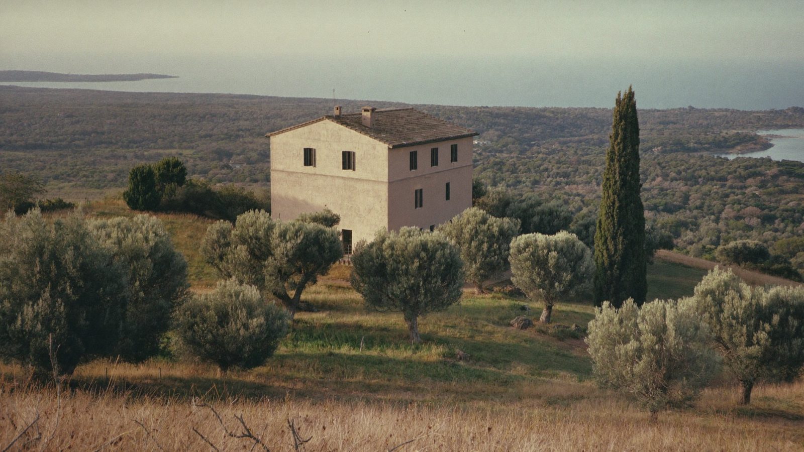 Podere Gelsomina, a stone farmhouse among olive trees with the sea and lagoon beyond