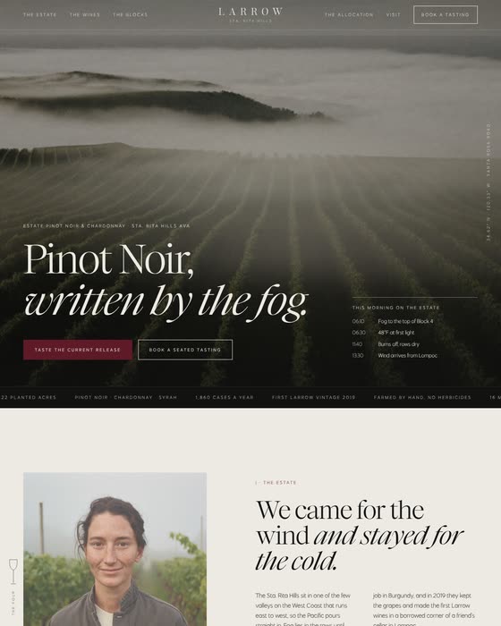Larrow sample website
