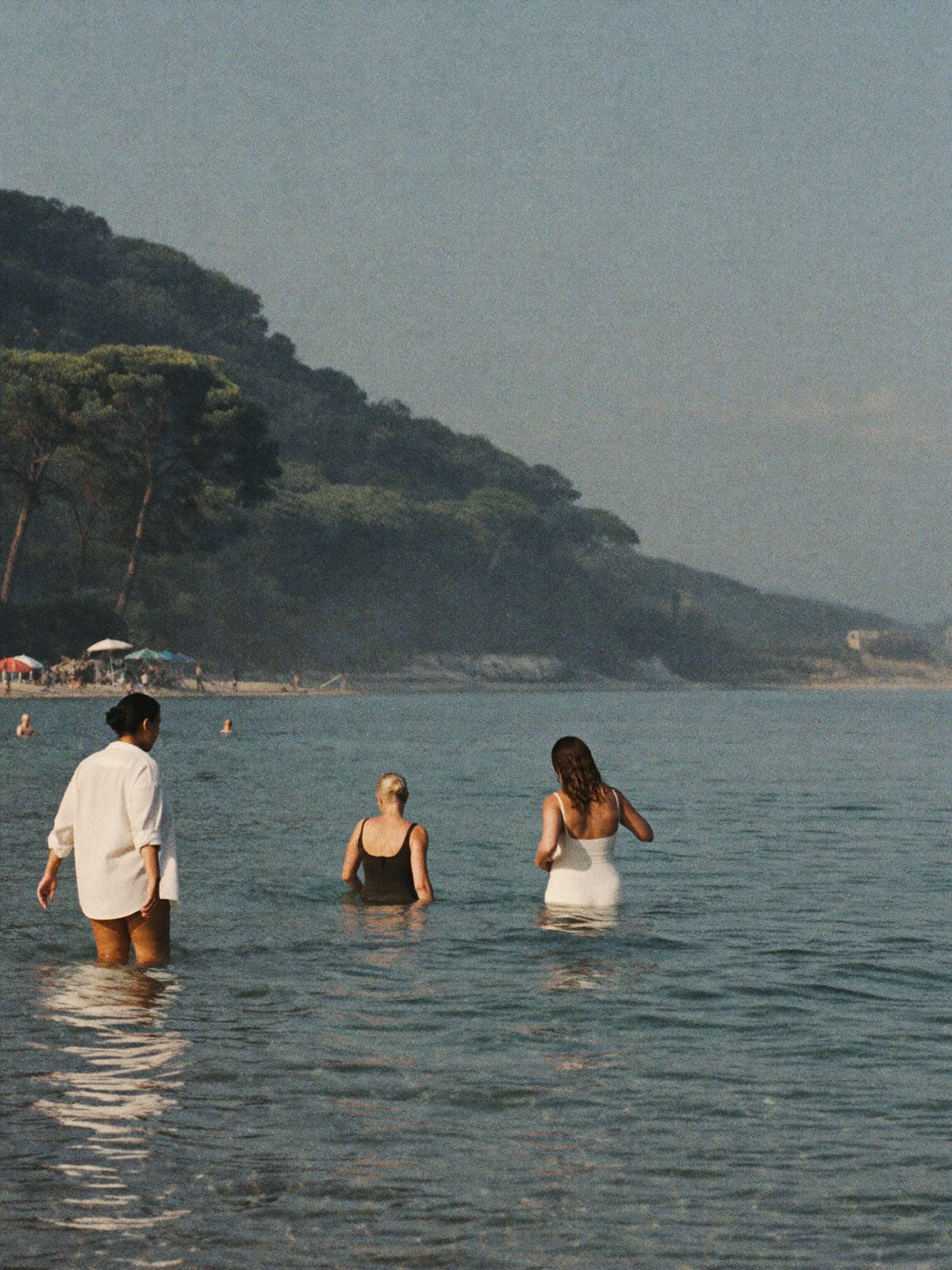 Three women wading into a calm early morning sea below the pines
